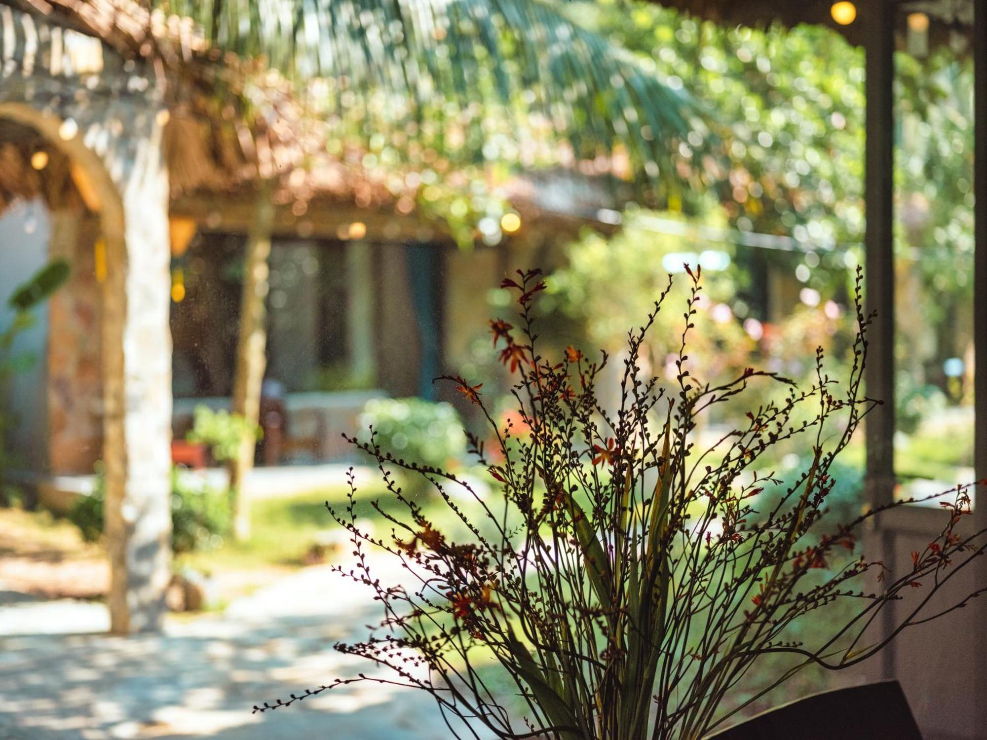 Cozy Beer Garden Homestay Ninh Binh Exterior foto